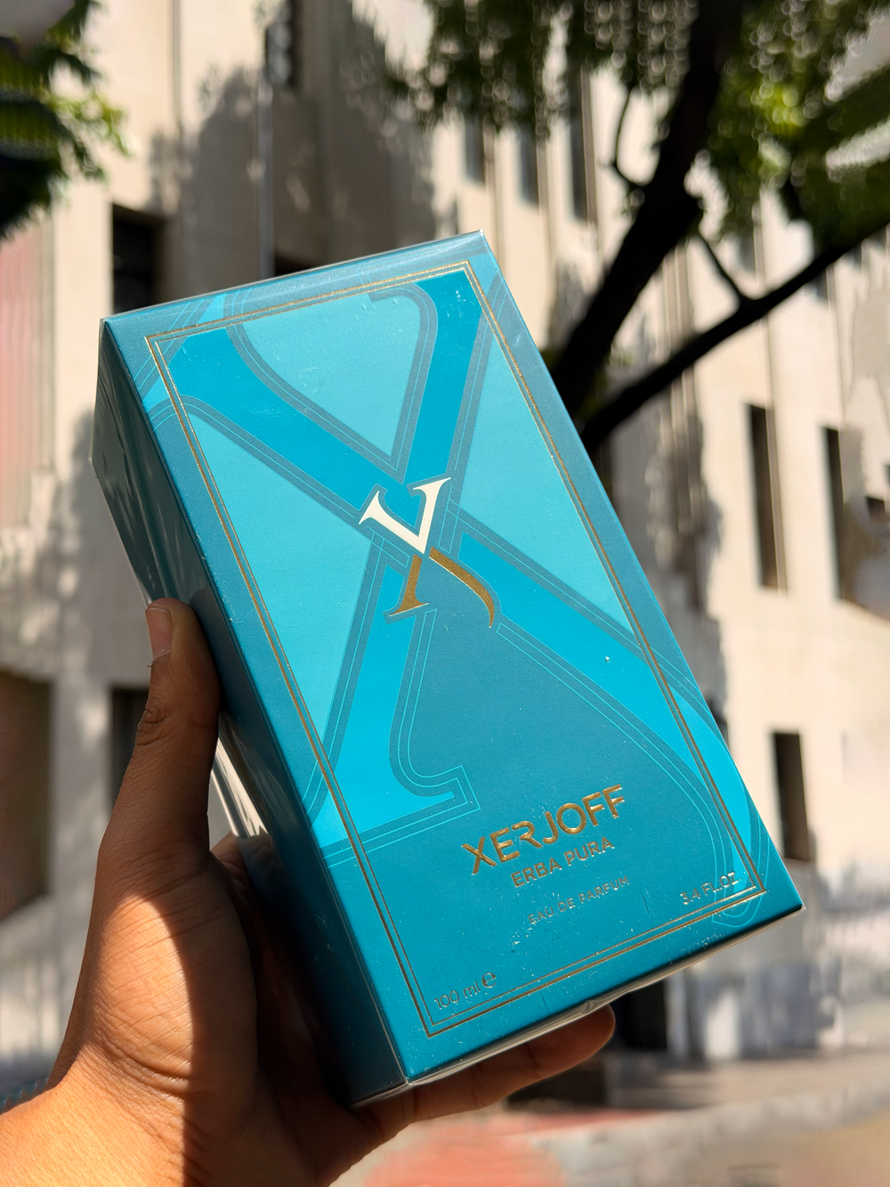 Perfume nicho de Dinasty